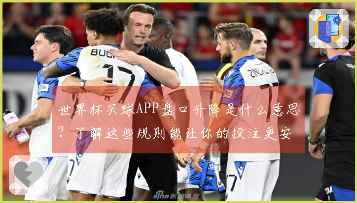世界杯买球APP盘口升降是什么意思？了解这些规则能让你的投注更安全