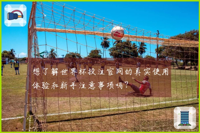 想了解世界杯投注官网的真实使用体验和新手注意事项吗？