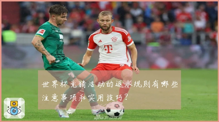 世界杯竞猜活动的返水规则有哪些注意事项和实用技巧？