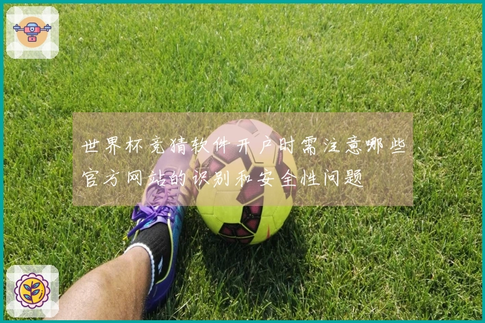 世界杯竞猜软件开户时需注意哪些官方网站的识别和安全性问题